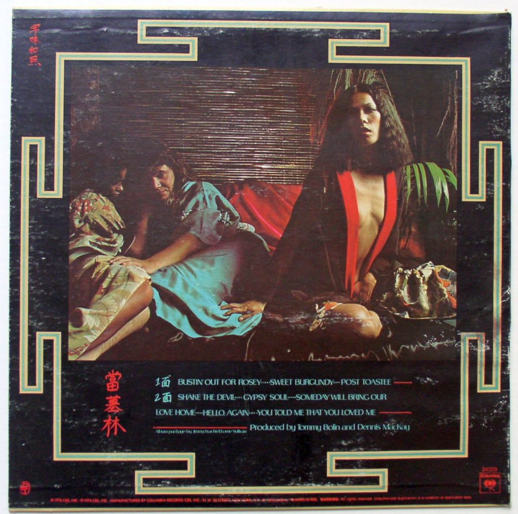 Lot Detail - Tommy Bolin Private Eyes Album Cover Used Parasol